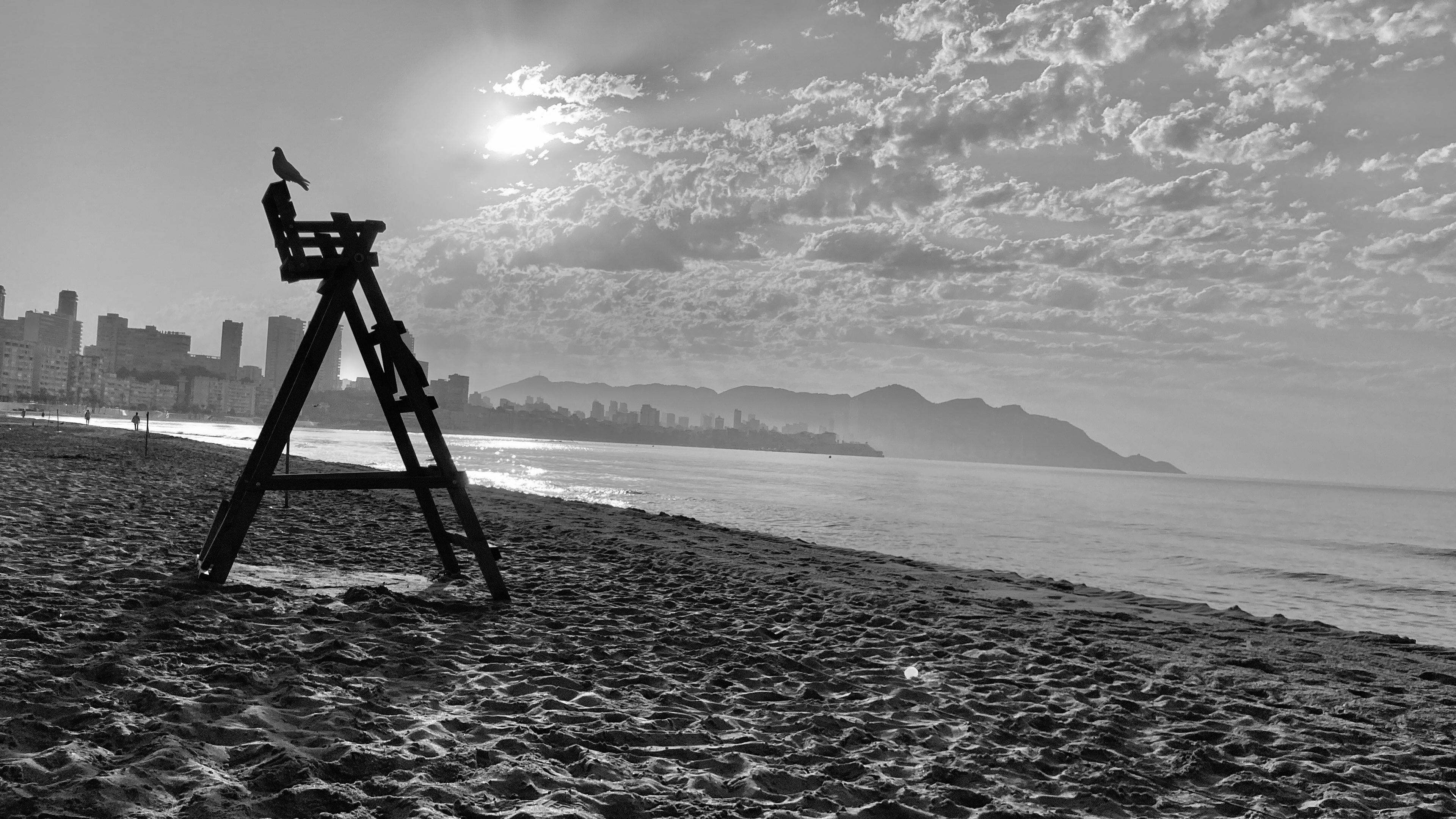 Lisa%20Soules%20 %20Fotografie%20%20%20-%203.jpeg